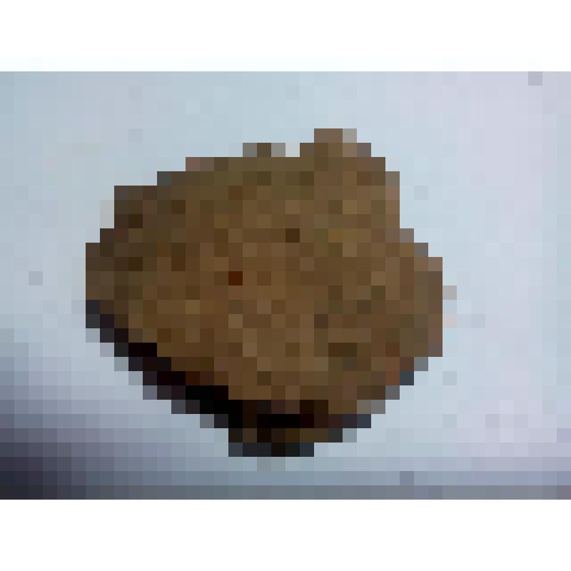 Фрагмент сосуда