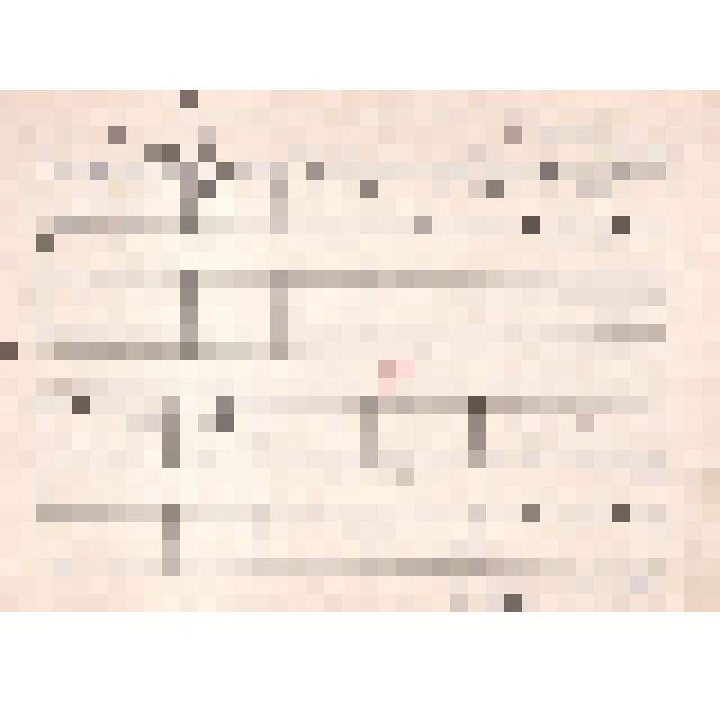 Ноты: Песня-кантата «Алтай» Слова П.В. Кучияка. Перевод И. Мухачева. Музыка Б. Шульгина