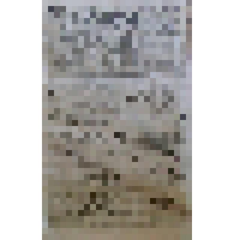 Газета "Прикамская жизнь" за 1916 год. №95 от  01.05.1916 г