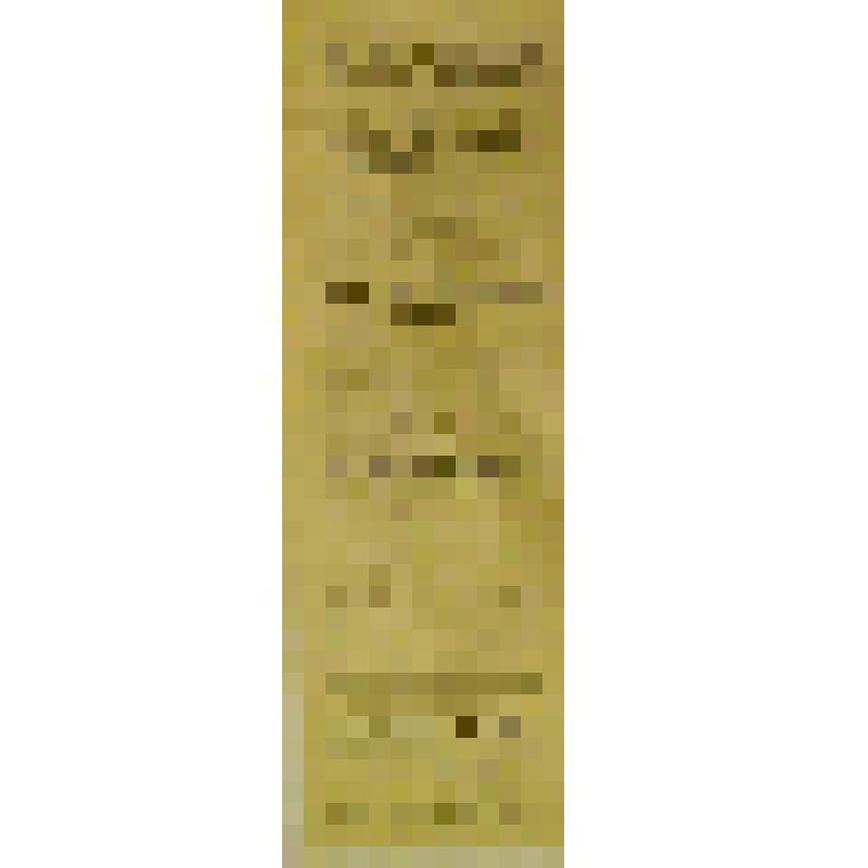 Программа. "Ночь госпожи Монтессон" (Химики) (Режиссер Н.В.Кастровский); "Бедные овечки" (Без автора). Александровск, Театр-цирк С.Ф.Мовчановского; Антреприза, Труппа русских драматических артистов под режиссерством Н.В.Кастровского