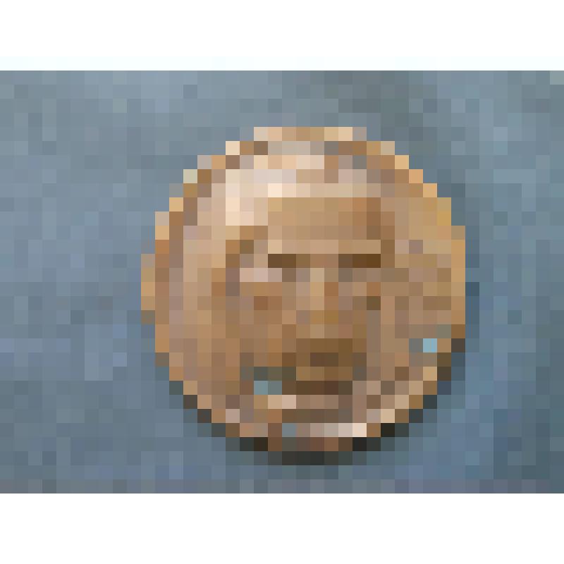 Медаль. Донелайтис