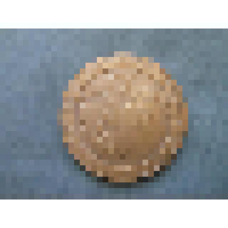 Медаль. Донелайтис