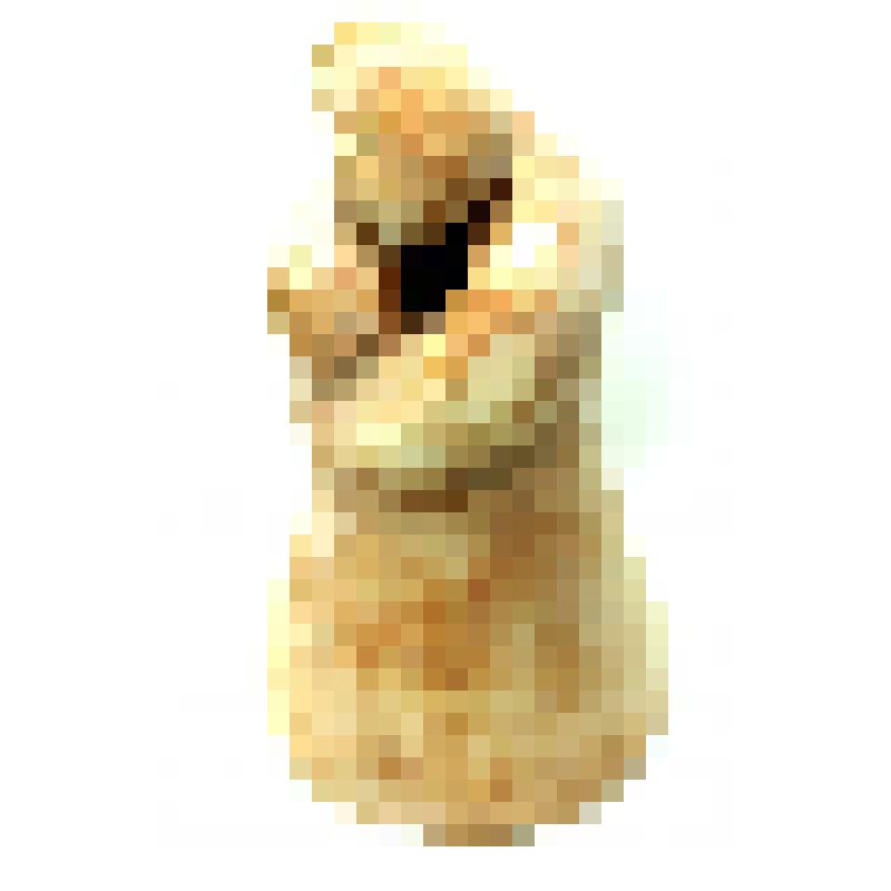 Скульптура. До встречи