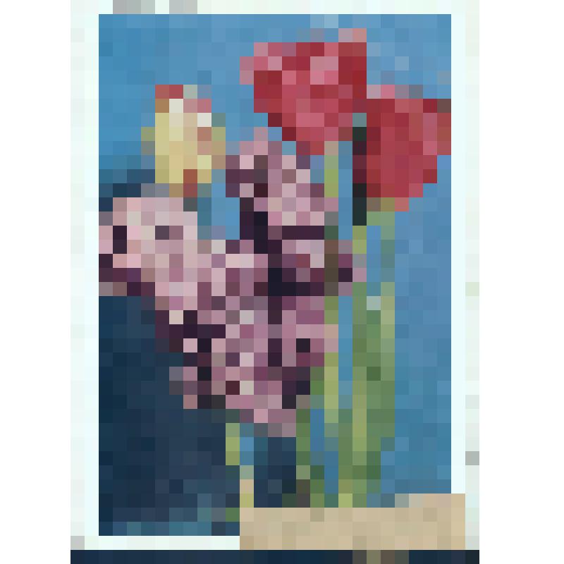 Сирень и тюльпаны