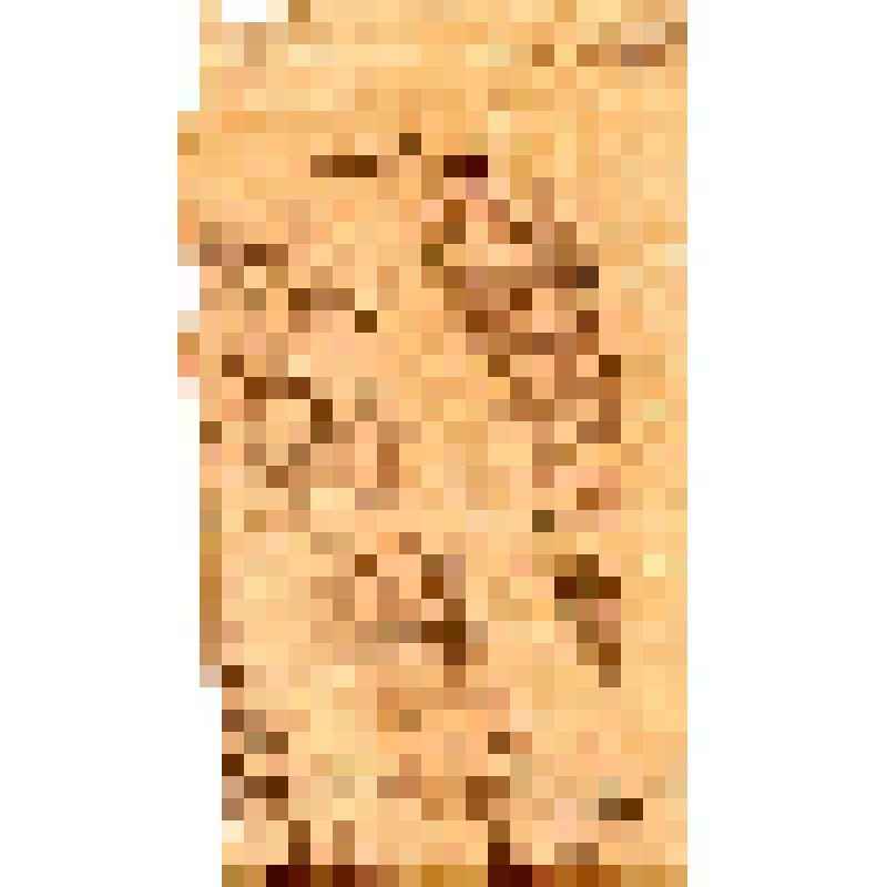 Российская социал-демократическая рабочая партия. Петербургский комитет РСДРП. Товарищи рабочие и работницы!!!