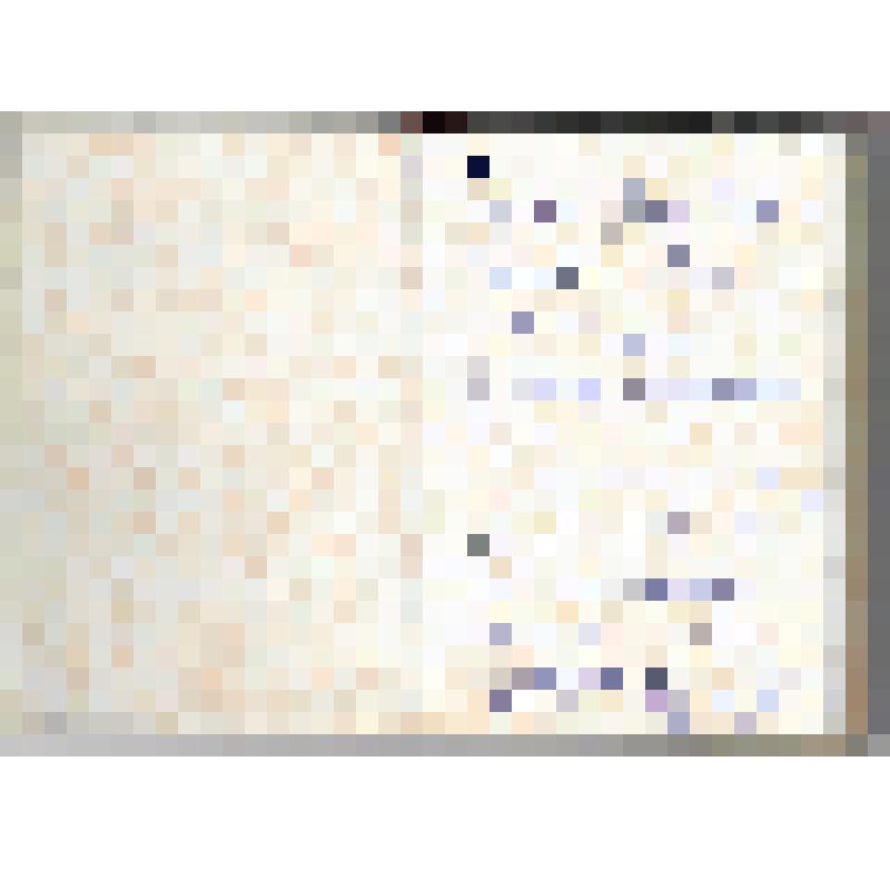 Записная книжка Белякова Е.И. (совхоз "Политотделец" Вологодской области), делегата XVI съезда профсоюзов СССР. С дарственной надписью ЦМР СССР