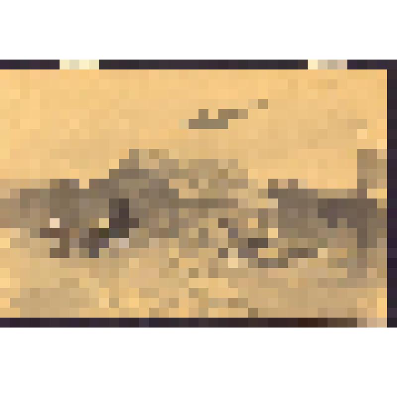 Рисунок. Действующий аэродром