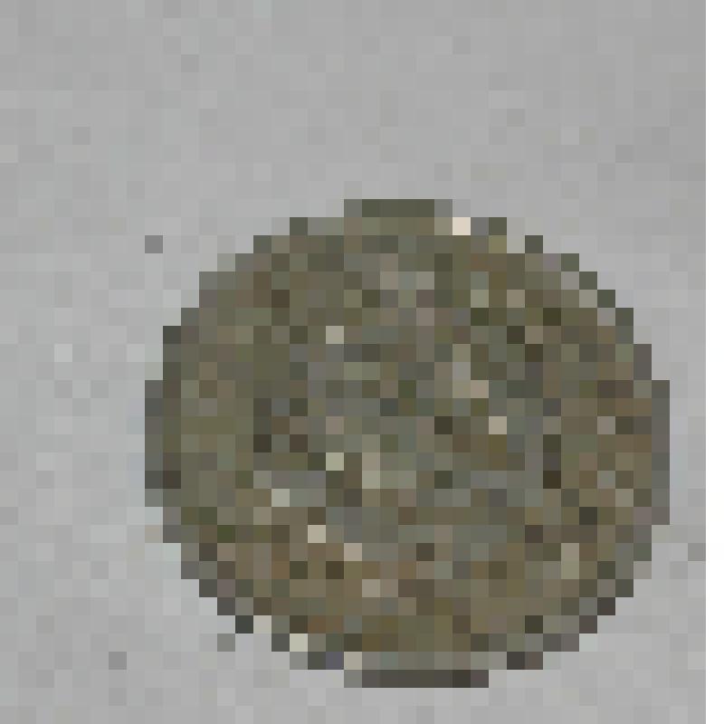 Монета. 20 копеек