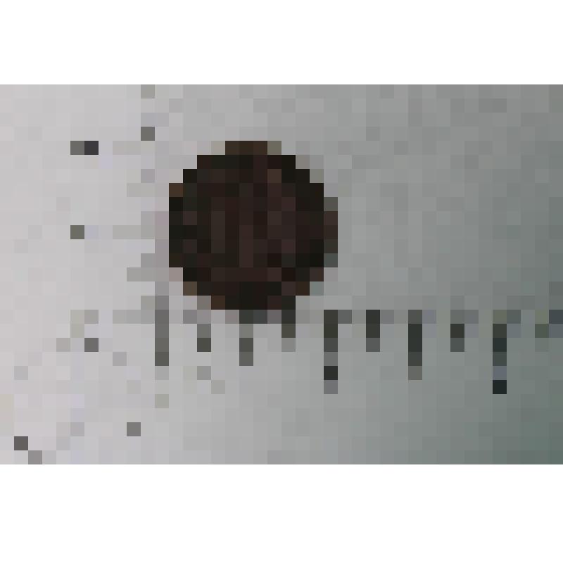 Монета достоинством 15 копеек