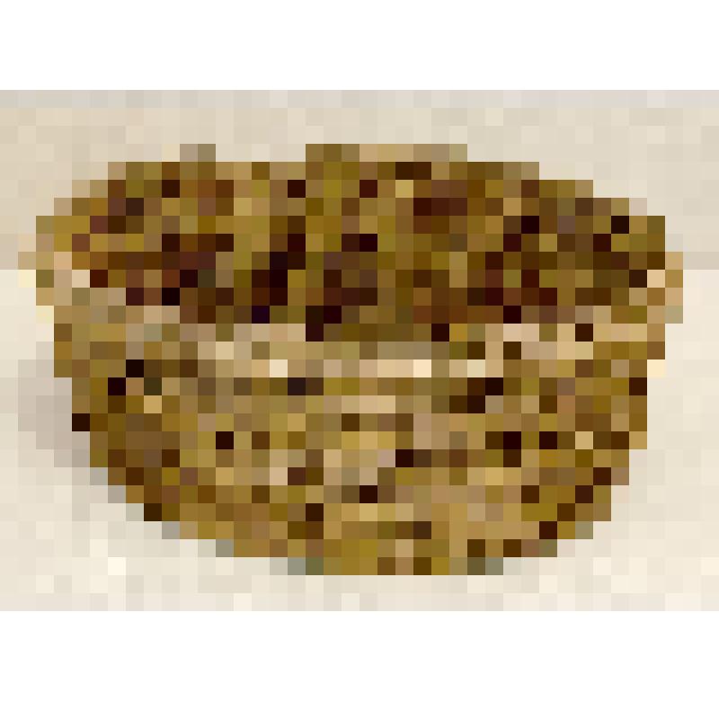 Корневушка, овальная