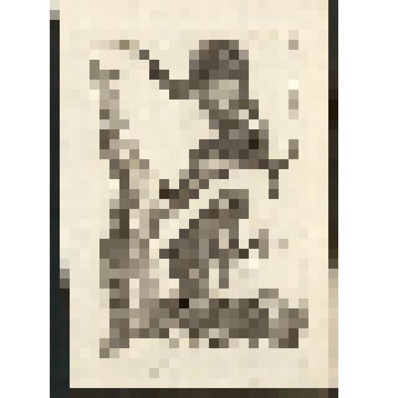 "Histoire Naturelle. Pl. X. Fig. 1. Le Papior. Fig. 2. L' Ouanderou." Antonio Baratti sc. Гравюра