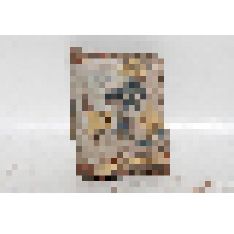 Изразец угловой (фрагмент) рельефный полихромный