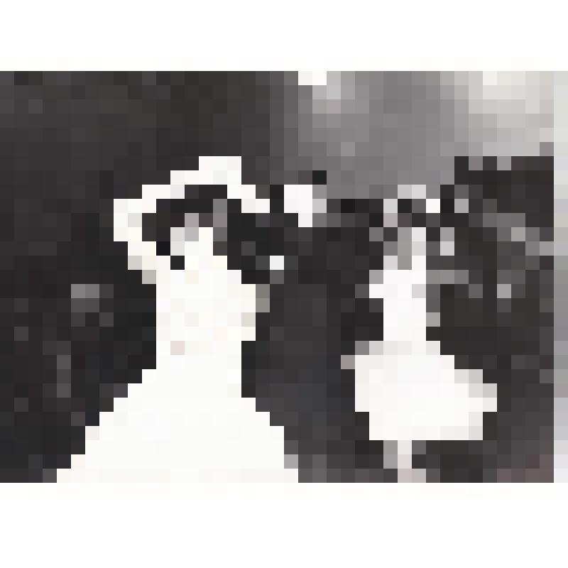 Фотография ч/б. Танцевальный коллектив СШ №5. Город Нефтеюганск. Фондообразователь: Общественный музей Нефтеюганска