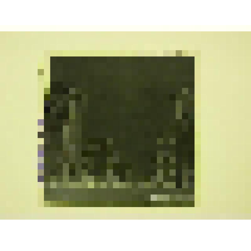 Жилой район Олимпийская деревня. 1978-1979 гг. г. Москва. Жилой район Олимпийская деревня. Стамо Е.; Костенко В. Фрагмент застройки