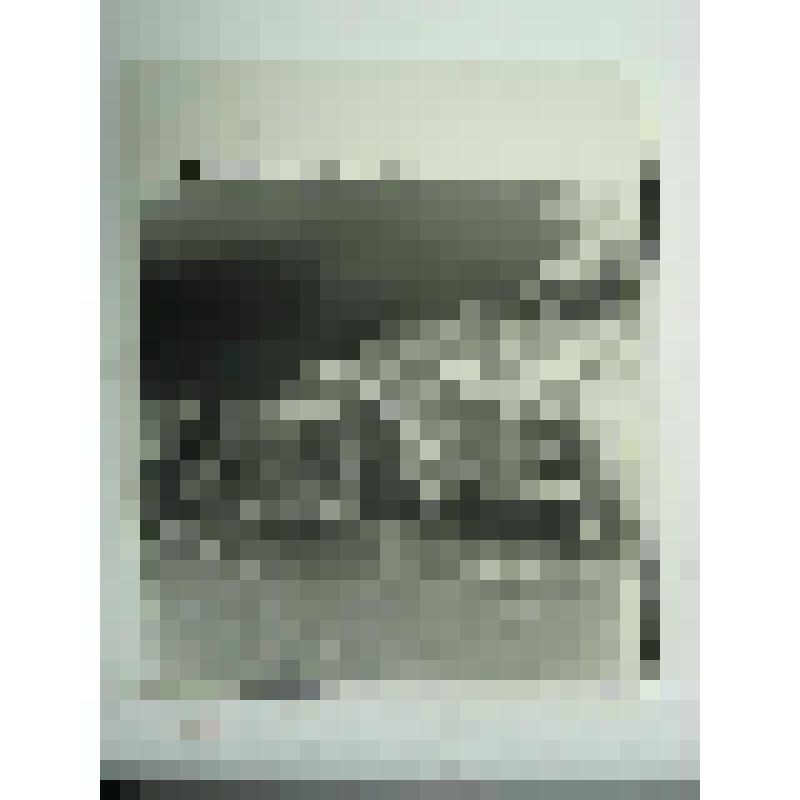 Усадьба управляющего Кусинским заводом. Главный дом. улица Андроновых, 13. 1895 г., 1909 г. Челябинская  обл., Кусинский р-н, г. Куса. Усадьба управляющего Кусинским заводом. Главный дом. улица Андроновых, 13. 1895 г., 1909 г. Тележников Ф. А. Вид на глав