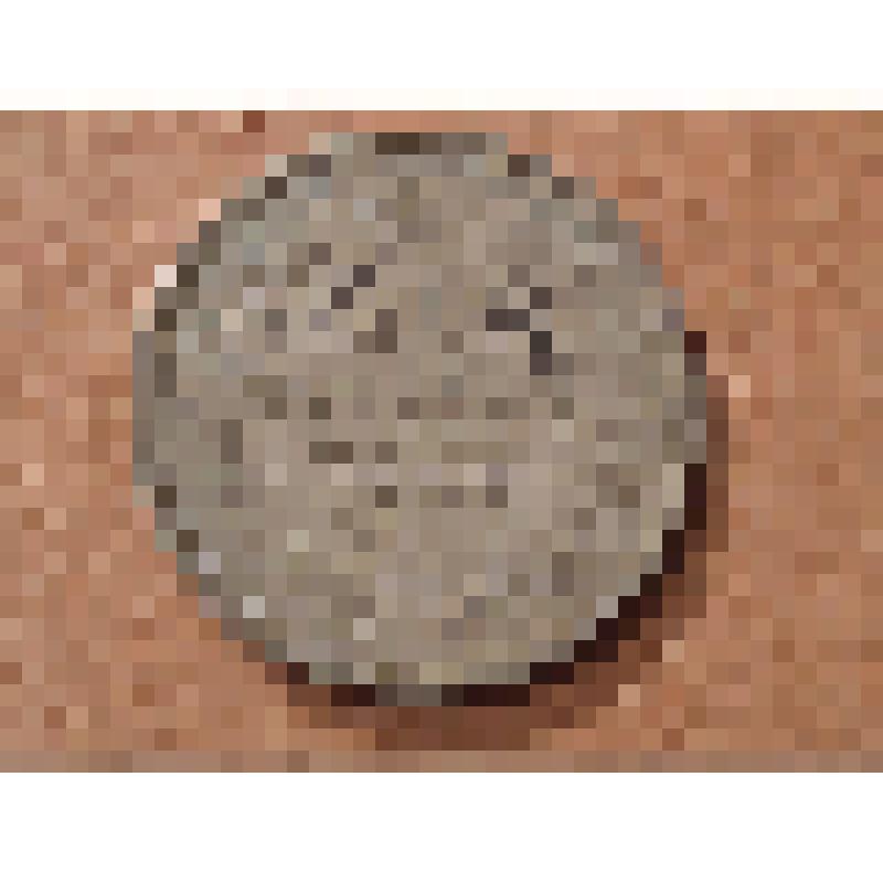 Монета достоинством 20 копеек