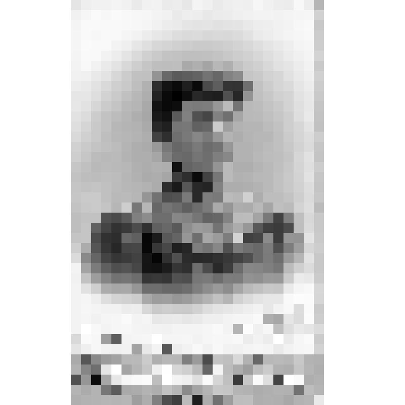 Фотография. Пушечникова П