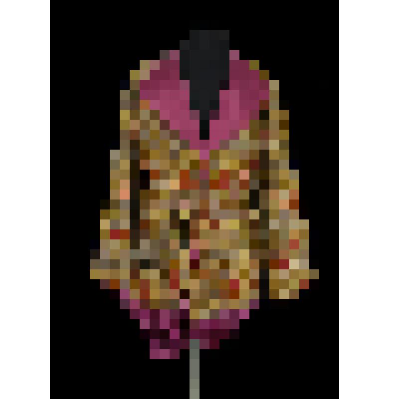 Деталь костюма Д.А. Смирнова к партии Ромео. Куртка-блио. "Ромео и Джульетта". Гуно Ш.; 1896, реж. Барцал А.И., худ. Вальц К.Ф., Баранов В.В., Бредов А., Исаков П.А., Савицкий И.Ф