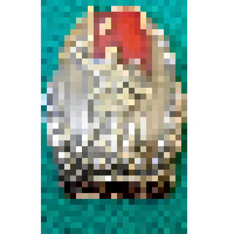 Знак " Участнику Хакаской битвы"