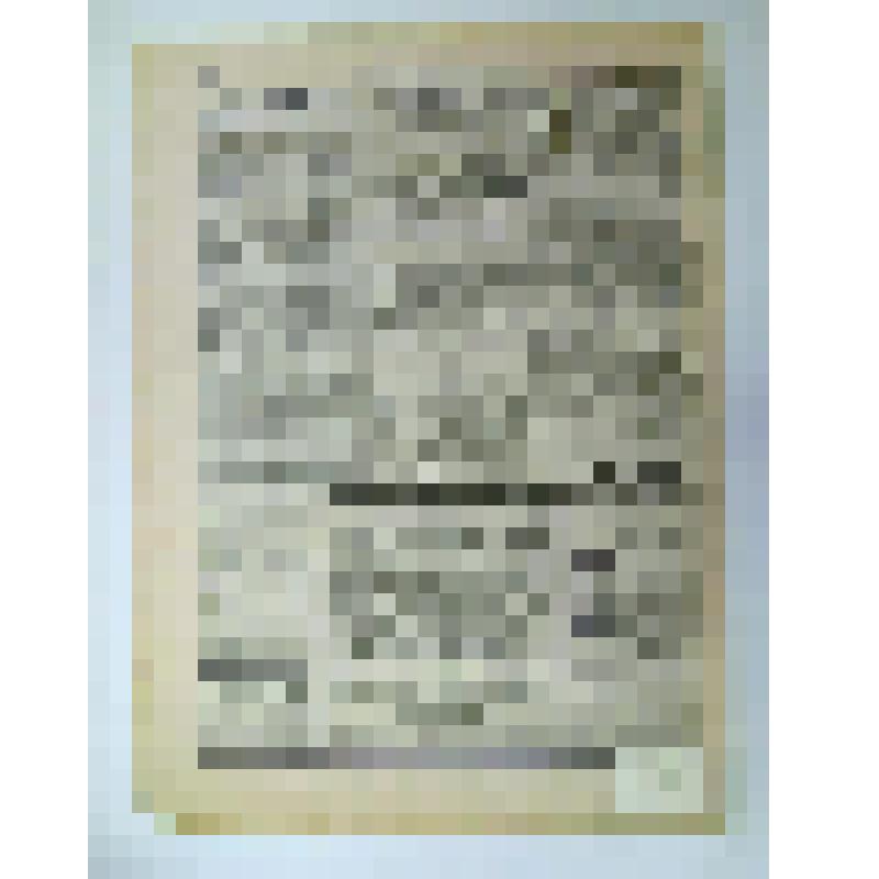 Газета. Родина: Еженедельная общественная и политическая газета. – СПб: Изд. А.А. Каспари, 1905. – № 25