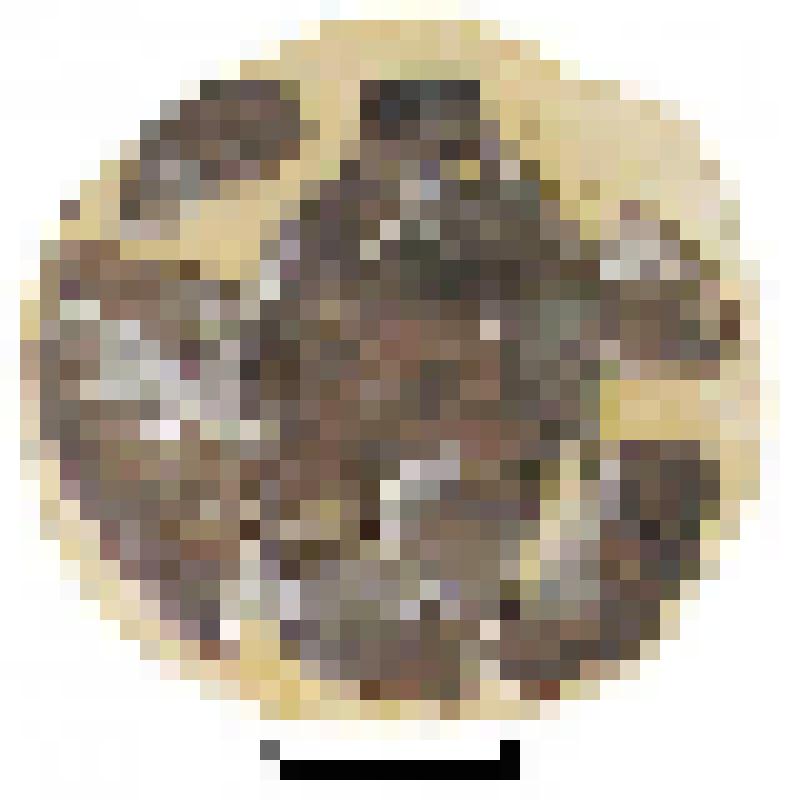 Подвеска монетовидная (обломки)