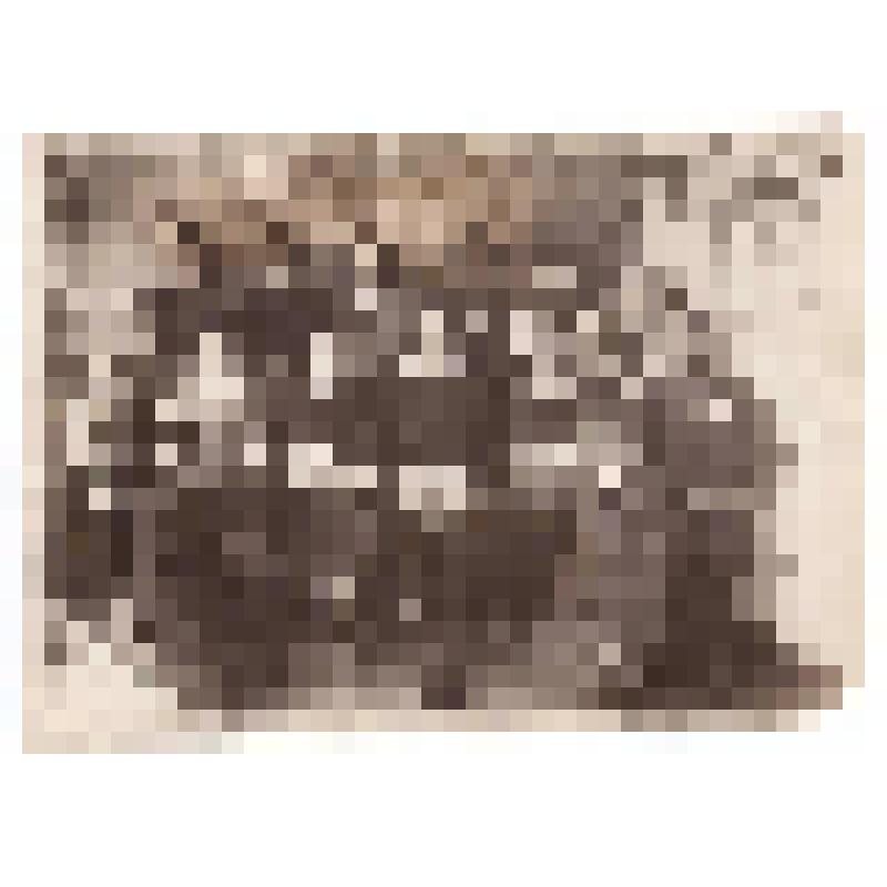 Фотография. Группа преподавателей и студентов Ханты - Мансийского педучилища