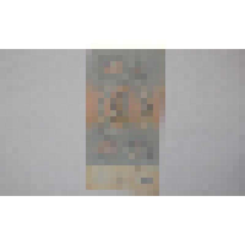 Билет Государственного Банка СССР 5 рублей 1991 года серия ЗХ 7297883