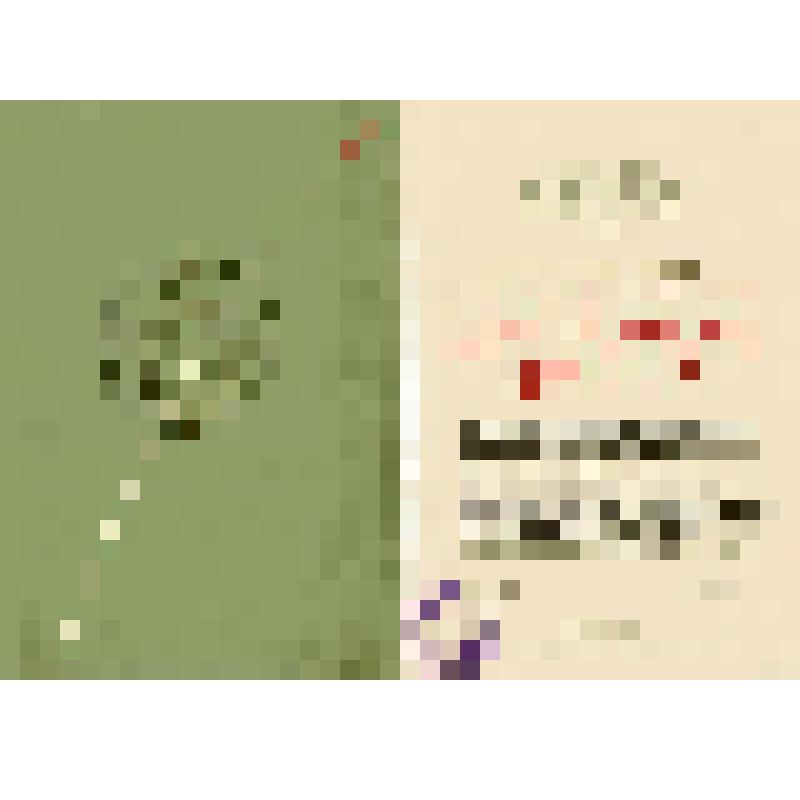 Диплом почета Союстова Ф.И. - председателя колхоза "Серп и молот" Кораблинского района за получение урожая зеленой массы кукурузы с початками. Награждает Комитет Совета ВДНХ СССР. 22.02.1960 г