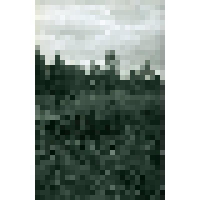 Негатив ч/б "Буровая скважина №62 - первооткрывательница Ярегского месторождения тяжелой нефти"