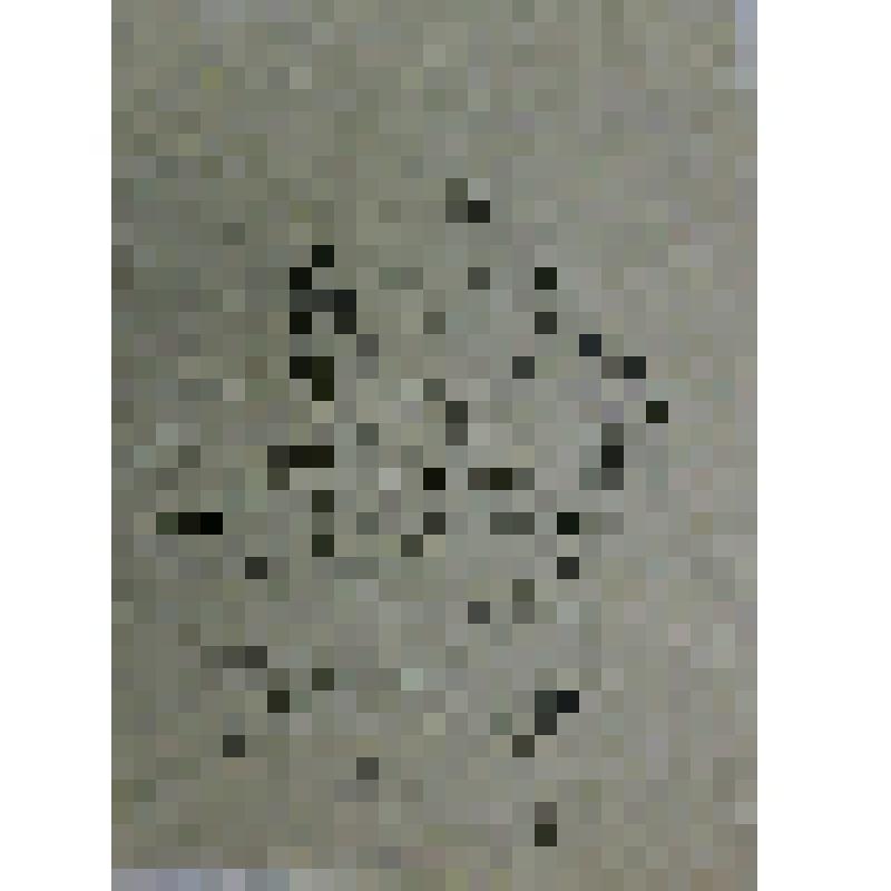 Сидящая дама и господин. Коллекция А.В. Мироновой, рисунок