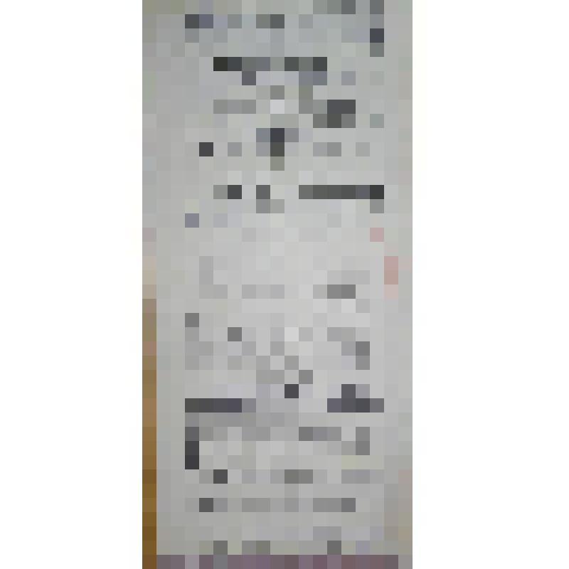 Программа с исполнителями. "Оболтусы-ветрогоны" (Режиссёр - Д.В. Пальмин). Архангельск, Городской театр; Антреприза, Труппа русских драматических артистов под управлением Е.М. Долина