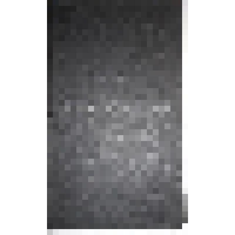 Книга. Нумизматический словарь