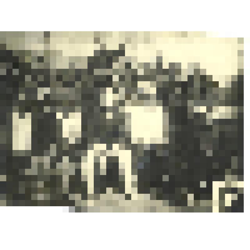 Фотография групповая. Экипаж парохода "Владивосток -III"