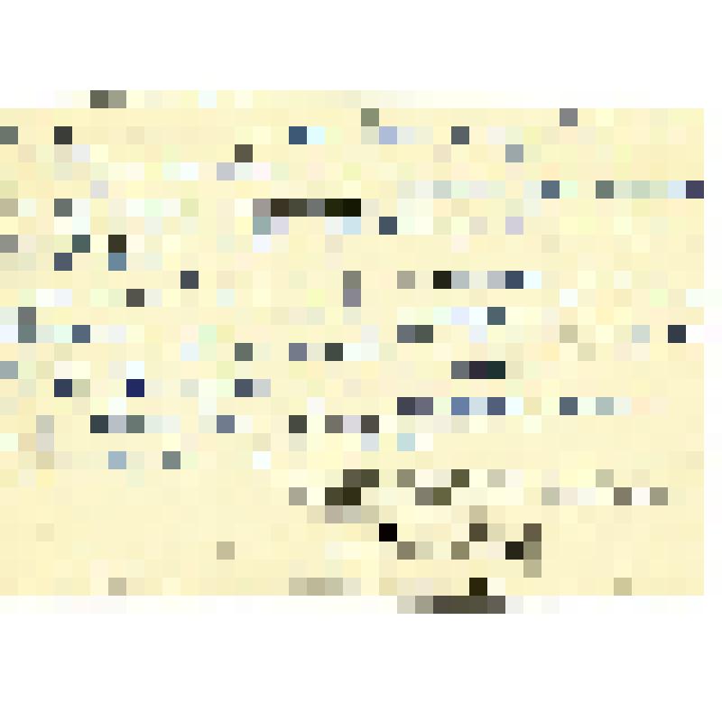 Фотография групповая. Экипаж парохода "Владивосток -III"