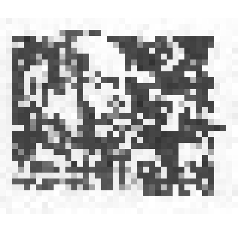 Экслибрис "Лениниана Толстой Н.В."