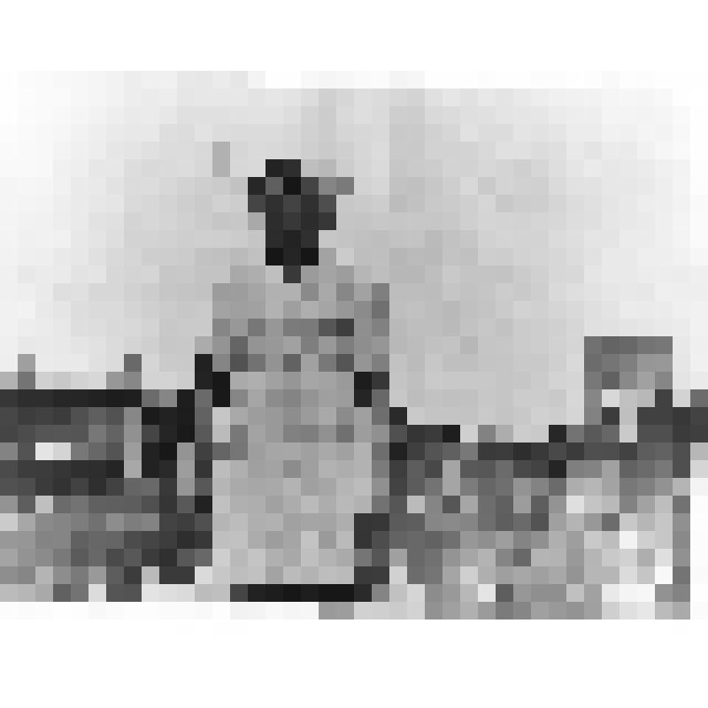 Фотография чёрно-белая. Подсобное хозяйство Комсомольского ЛПХ. Доярка