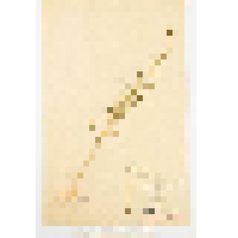 Гербарный экземпляр сосудистых растений. Гулявник изменчивый