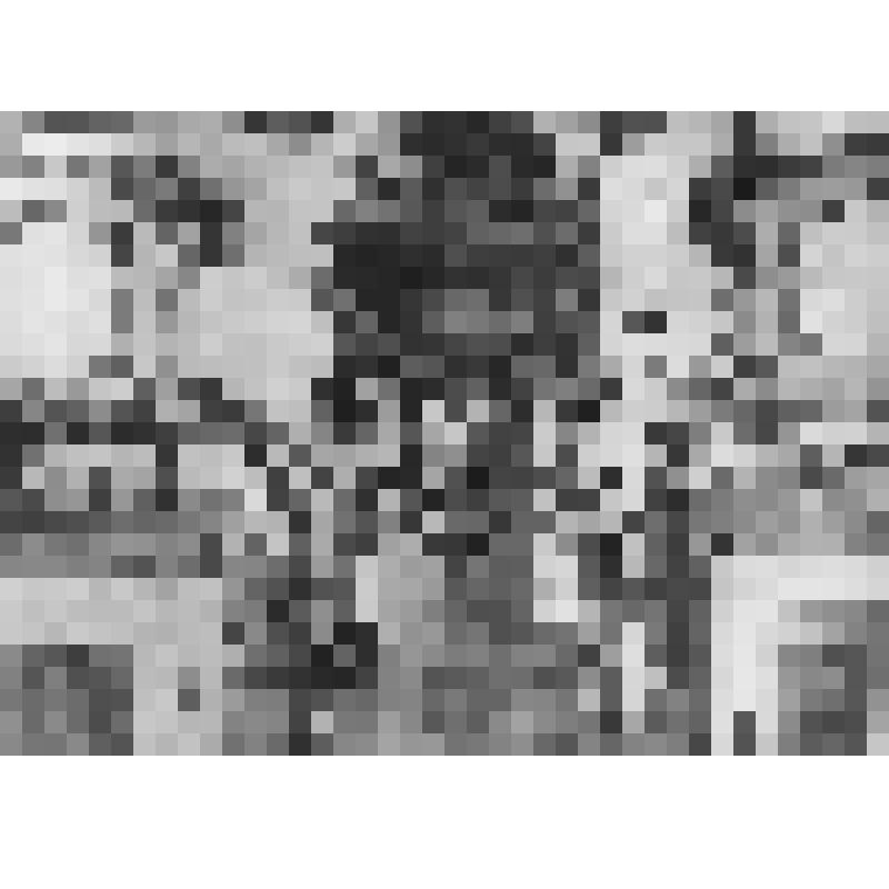 Большой дворец. Танцевальный зал. Западная стена. Деталь отделки