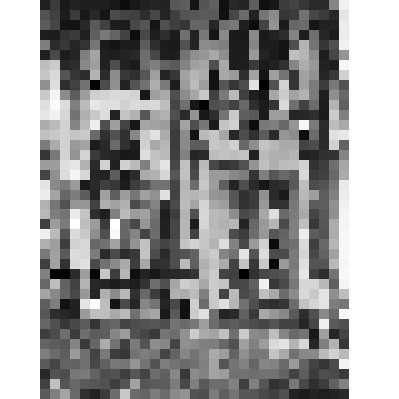 Большой дворец. Аудиенц-зал. Восточная стена. Фрагмент. Отпечаток с негатива начала ХХ века. Фотограф Матвеев Н. Г