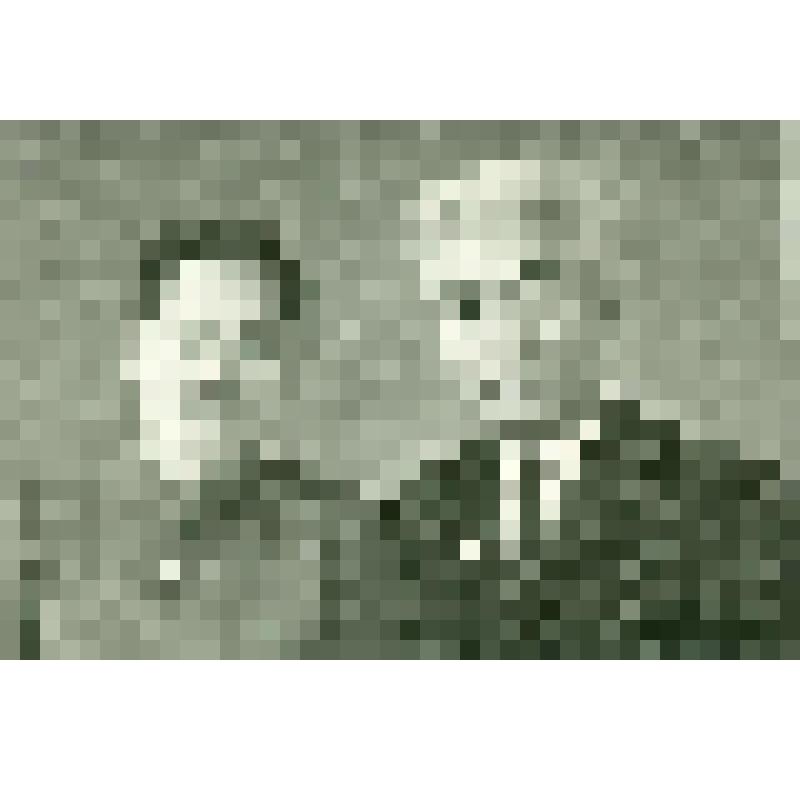 Фотографии. Фото. Абдин Н.С. с супругой Абдиной Н.П