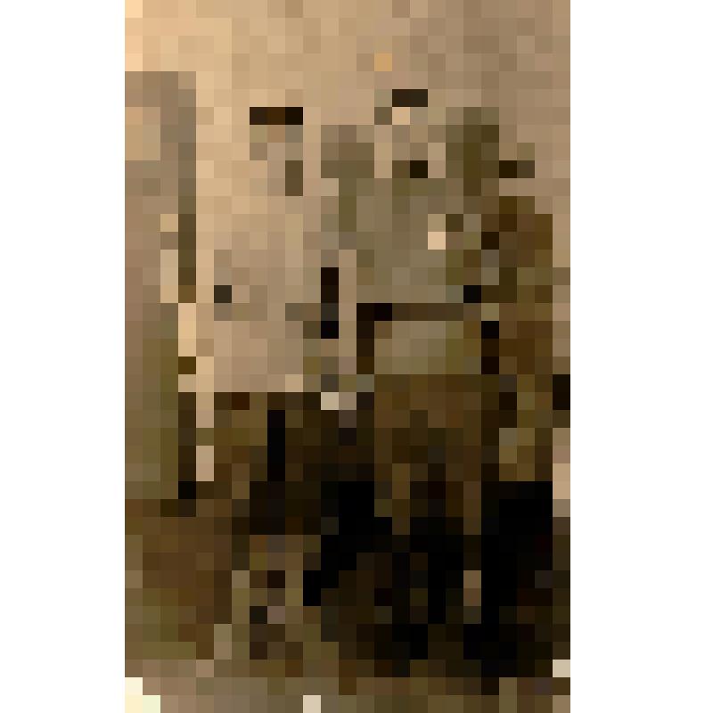 Фото (групповой портрет в рост) Справа первый - Меринов А.И. в гимнастерке, с орденами Славы 1945 г. Германия