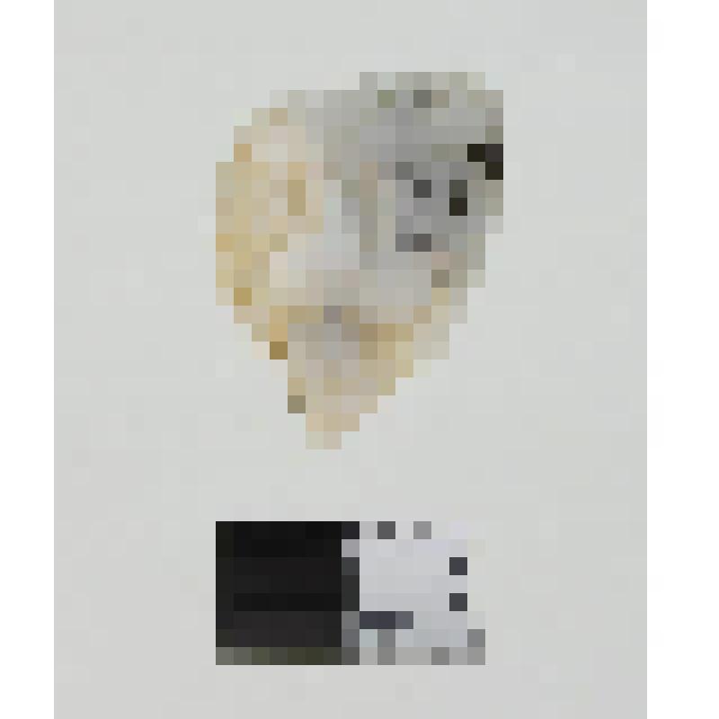 Отщеп со следами обработки