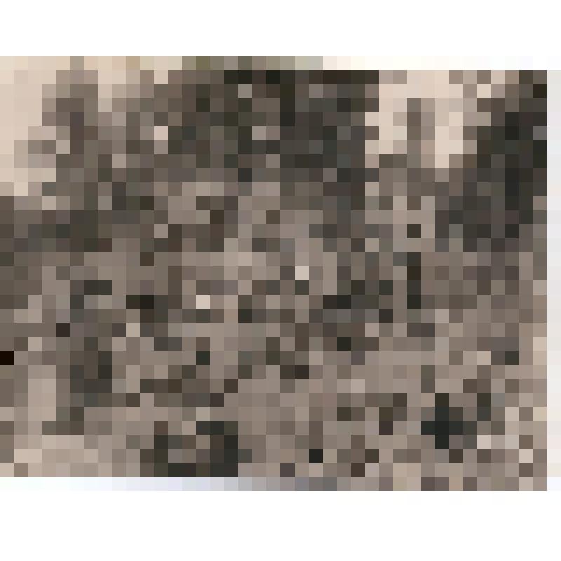 Фотография. Офицеры снайперского батальона перед убытием на передовую. 