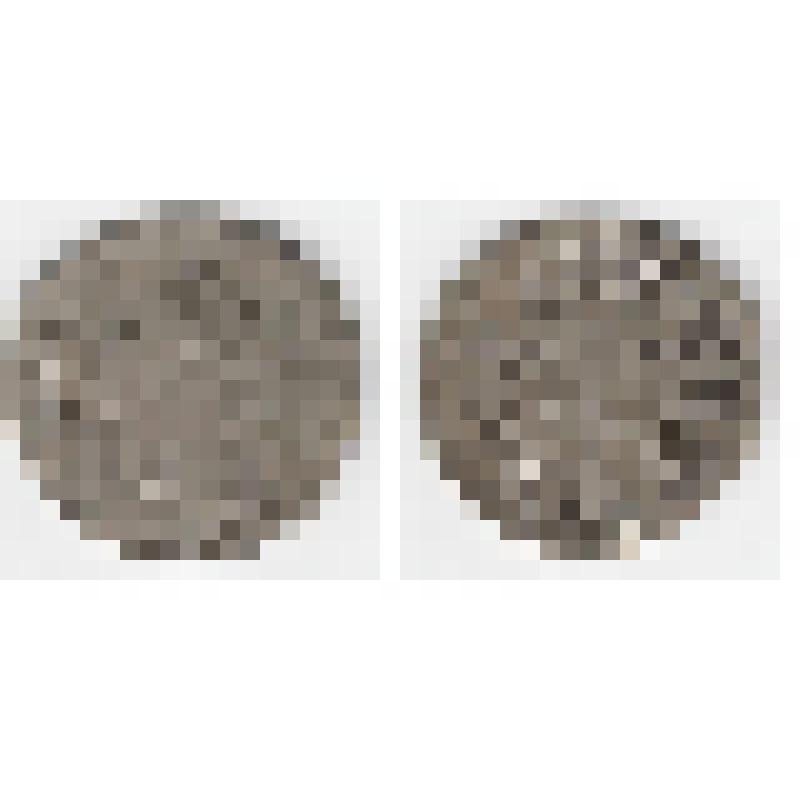 Монета. 24 копейки. Ливонез