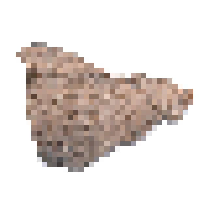 Сосуд (фрагмент)