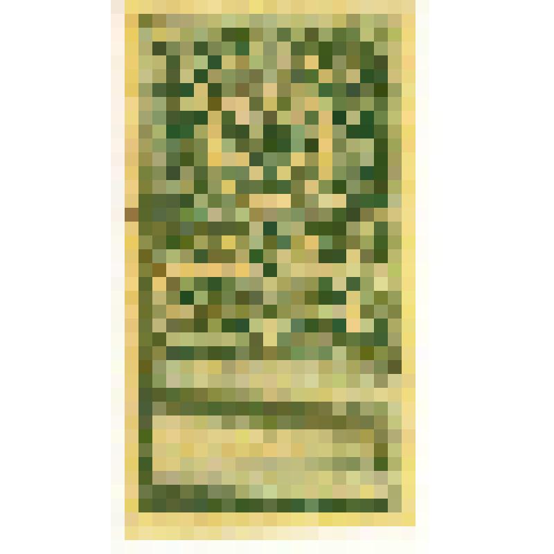 Марки почтовые. Марка почтовая. 75 коп. (зеленый). "Гербовая марка" с изображением короны Российской империи