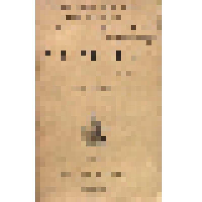 Книга. Souvenirs. Enfance-Voyages-Guerre. Illustres par Lui-Meme