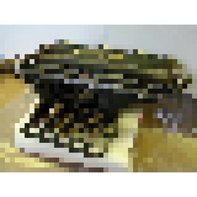 Машина пишущая «Башкирия»