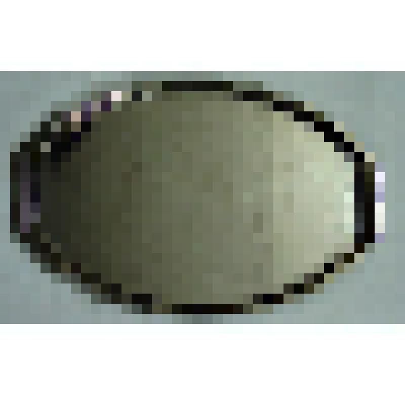 Поднос