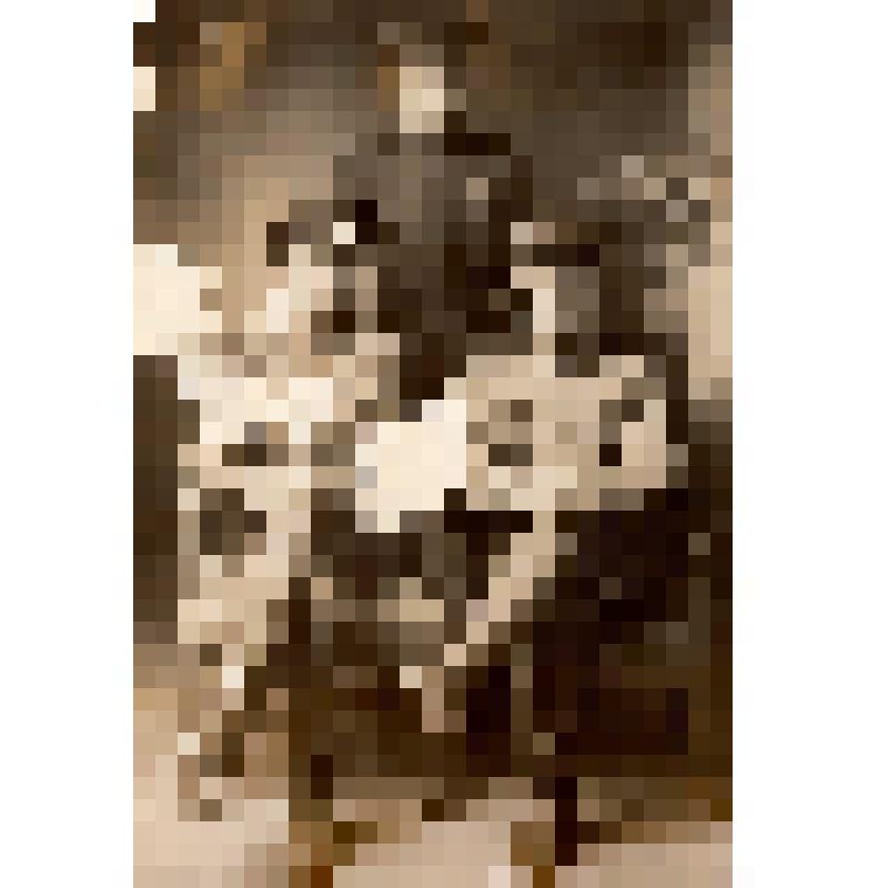 Фотография Шпитальный Николай Иванович - участник Великой Отечественной войны 1941-1945 гг